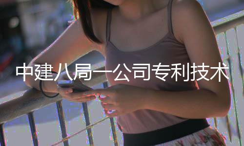 0项利技量突中建八局一公破1司专术总